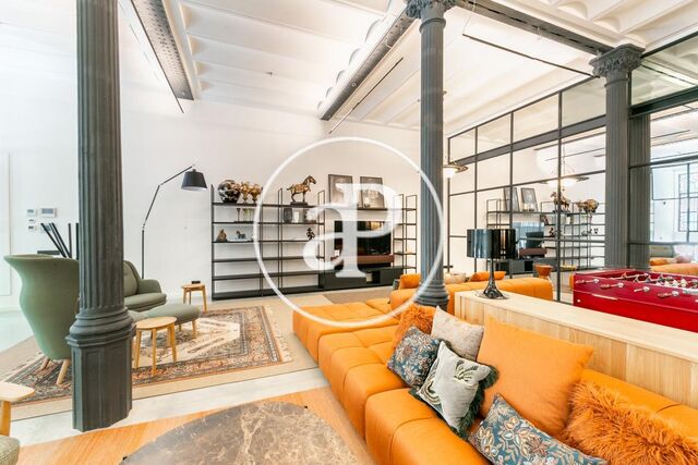 Loft à louer