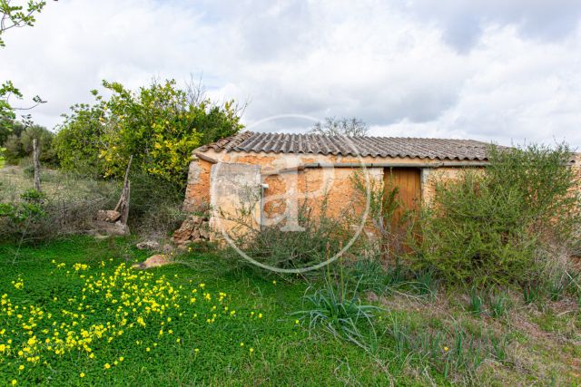 Terreny en venda