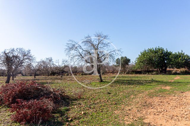 Terreny en venda