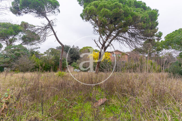 Terreno en venta