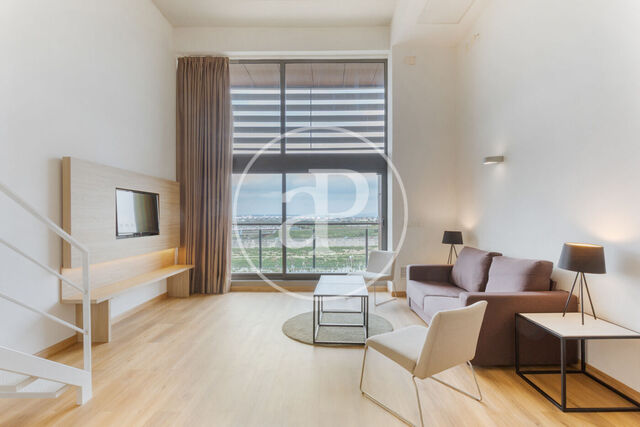 Loft en venda