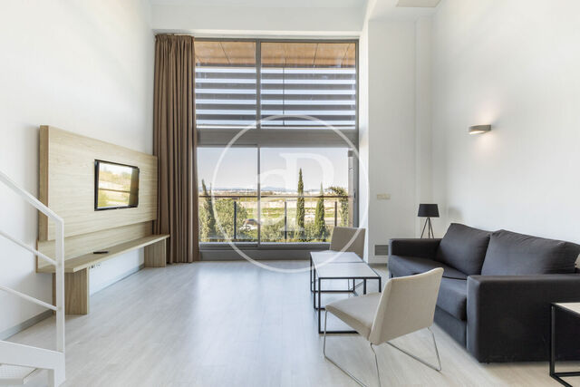 Loft en venda